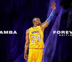 开云体育app-东决关键战之夜，皮克打出统治级数据，一场定义传奇的表演