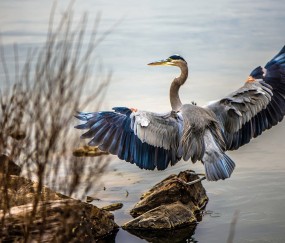 开云体育平台APP-绿茵场上的末节奇迹，当德甲争冠战遇见安哥拉式逆转
