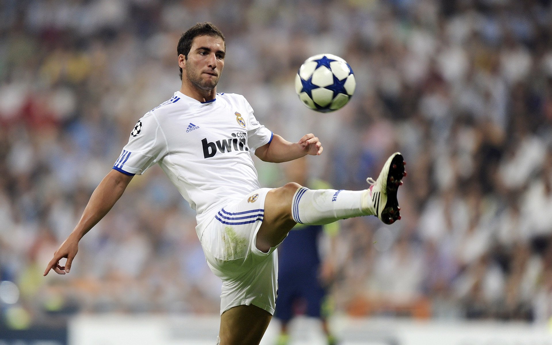 黄蜂蛰伏终亮刺，霍勒迪总决赛舞台的终极接管