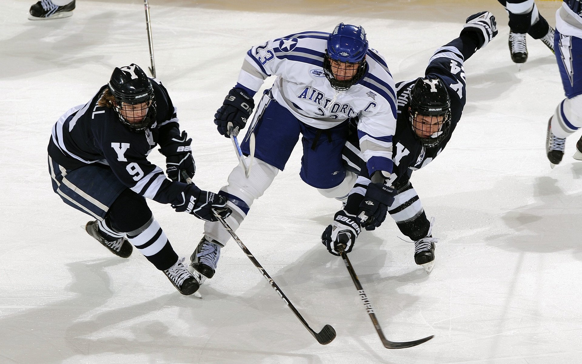 冰与火之歌，当明尼苏达的狼嚎响彻天山之巅